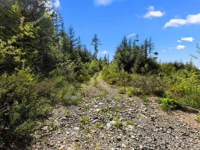 View 14