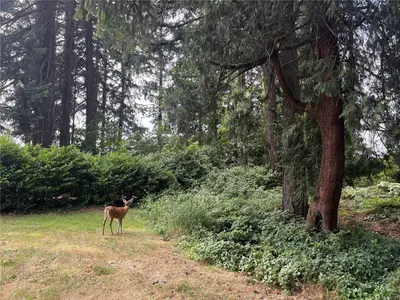 View 50