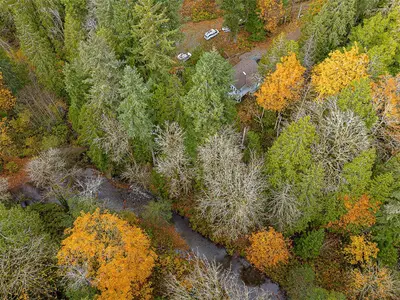 View 81