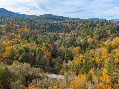 View 88