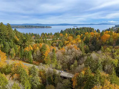 View 83
