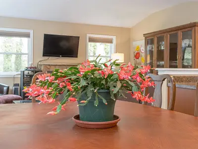 View 25