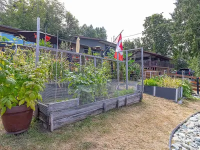 View 61
