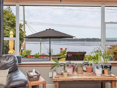 View 15