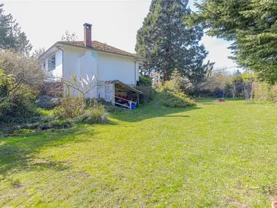 View 49