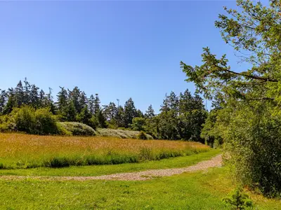 View 33
