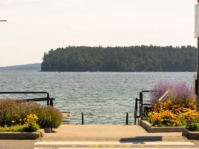 View 51