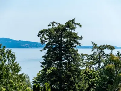 View 31