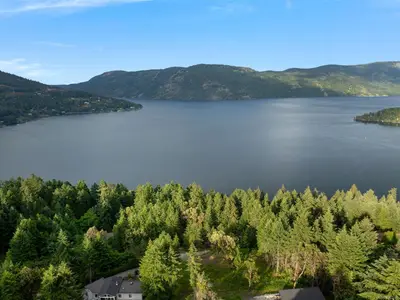 View 5