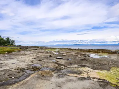 View 34