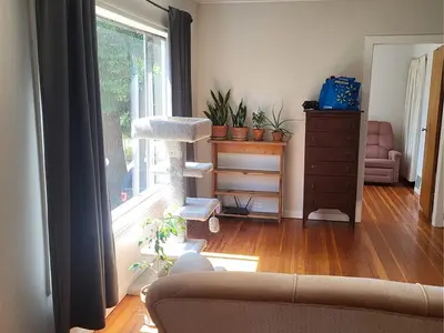 View 6