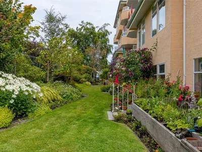 View 29