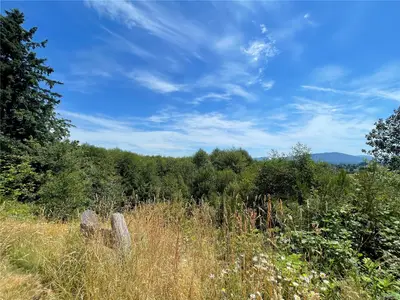 View 45