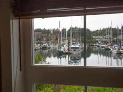 View 14