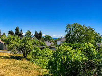 View 19