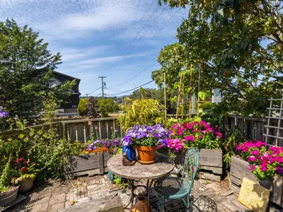 View 31