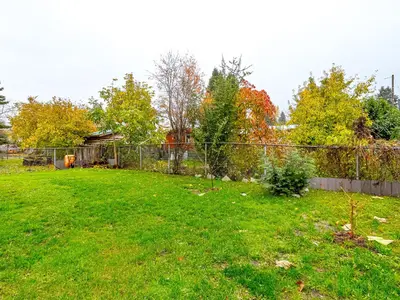 View 43