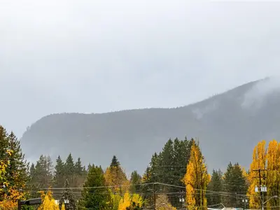 View 37