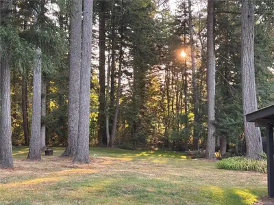 View 38