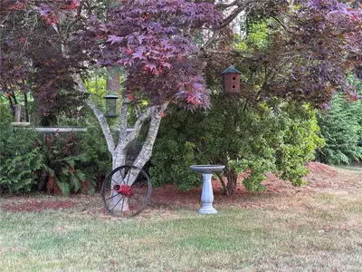 View 41