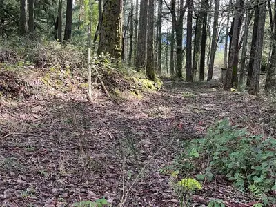 View 1