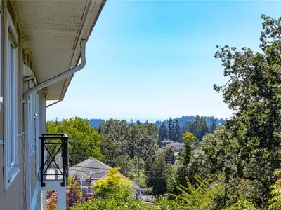 View 24