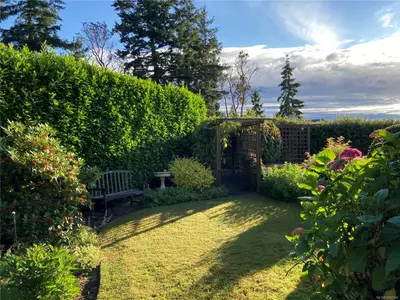View 46