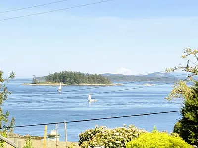 View 49