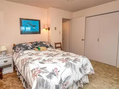 View 37