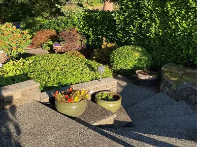 View 68