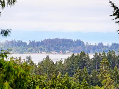 View 21