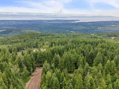 View 43