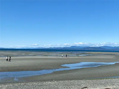 View 34