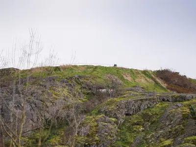 View 19