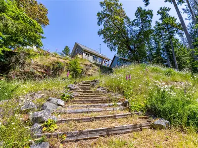 View 50
