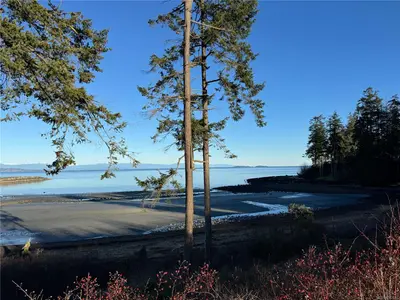 View 1