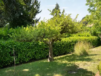 View 34