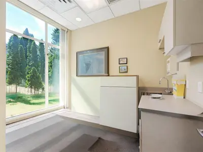 View 18