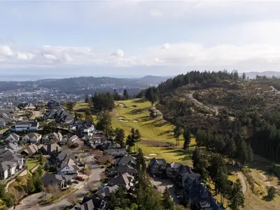 View 66