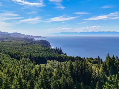 View 99