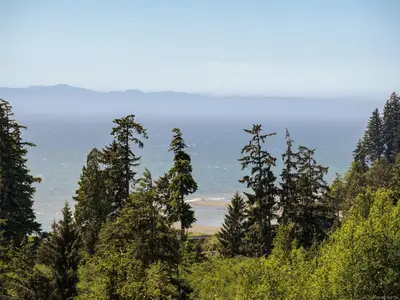 View 37