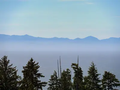View 35