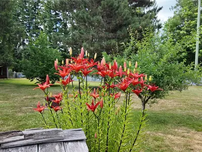 View 26