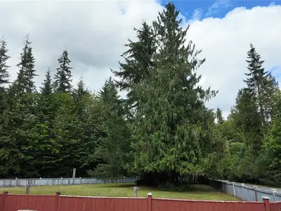 View 60