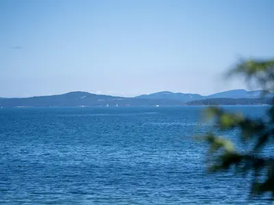 View 33