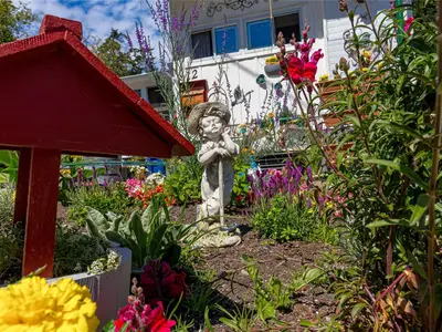 View 25