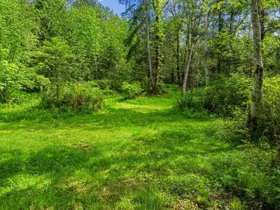 View 57