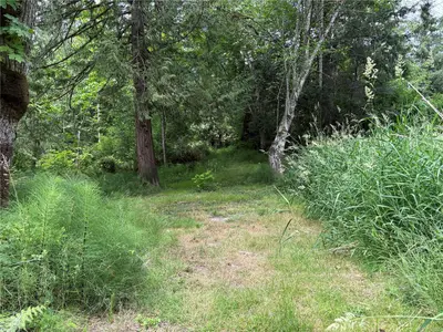 View 66