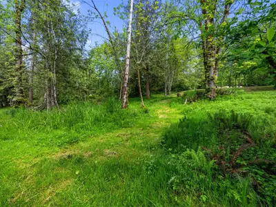 View 59