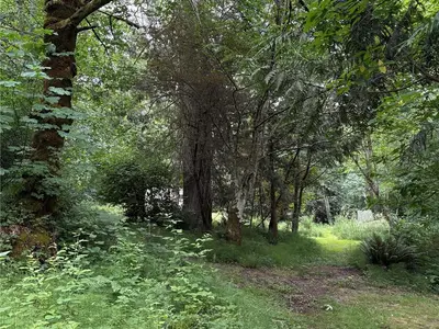 View 70